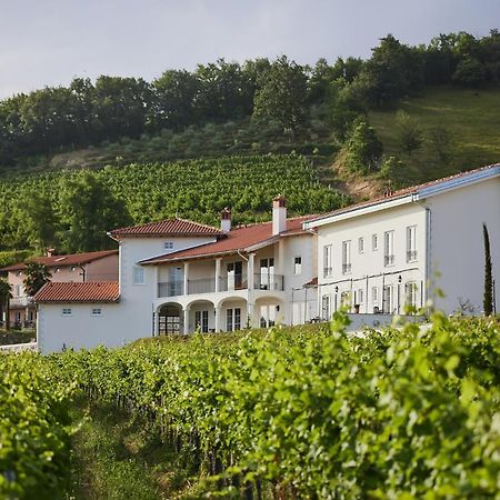 Peterc Vineyard Estate Bed & Breakfast Kojsko Exterior foto