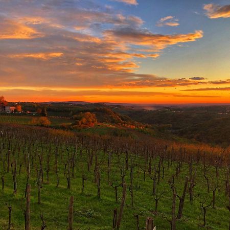 Peterc Vineyard Estate Bed & Breakfast Kojsko Exterior foto