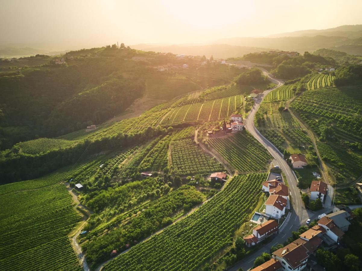 Peterc Vineyard Estate Bed & Breakfast Kojsko Exterior foto