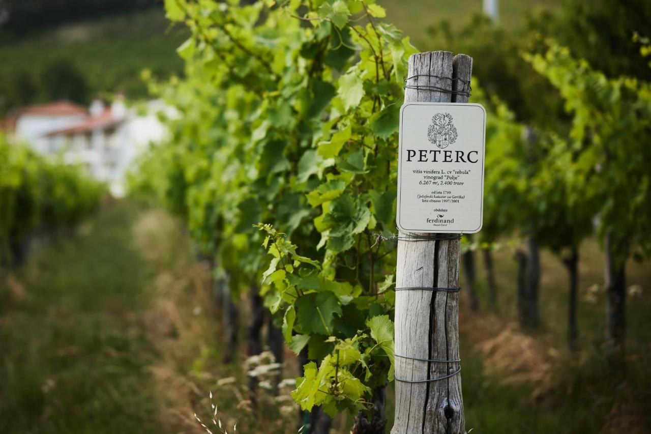 Peterc Vineyard Estate Bed & Breakfast Kojsko Exterior foto
