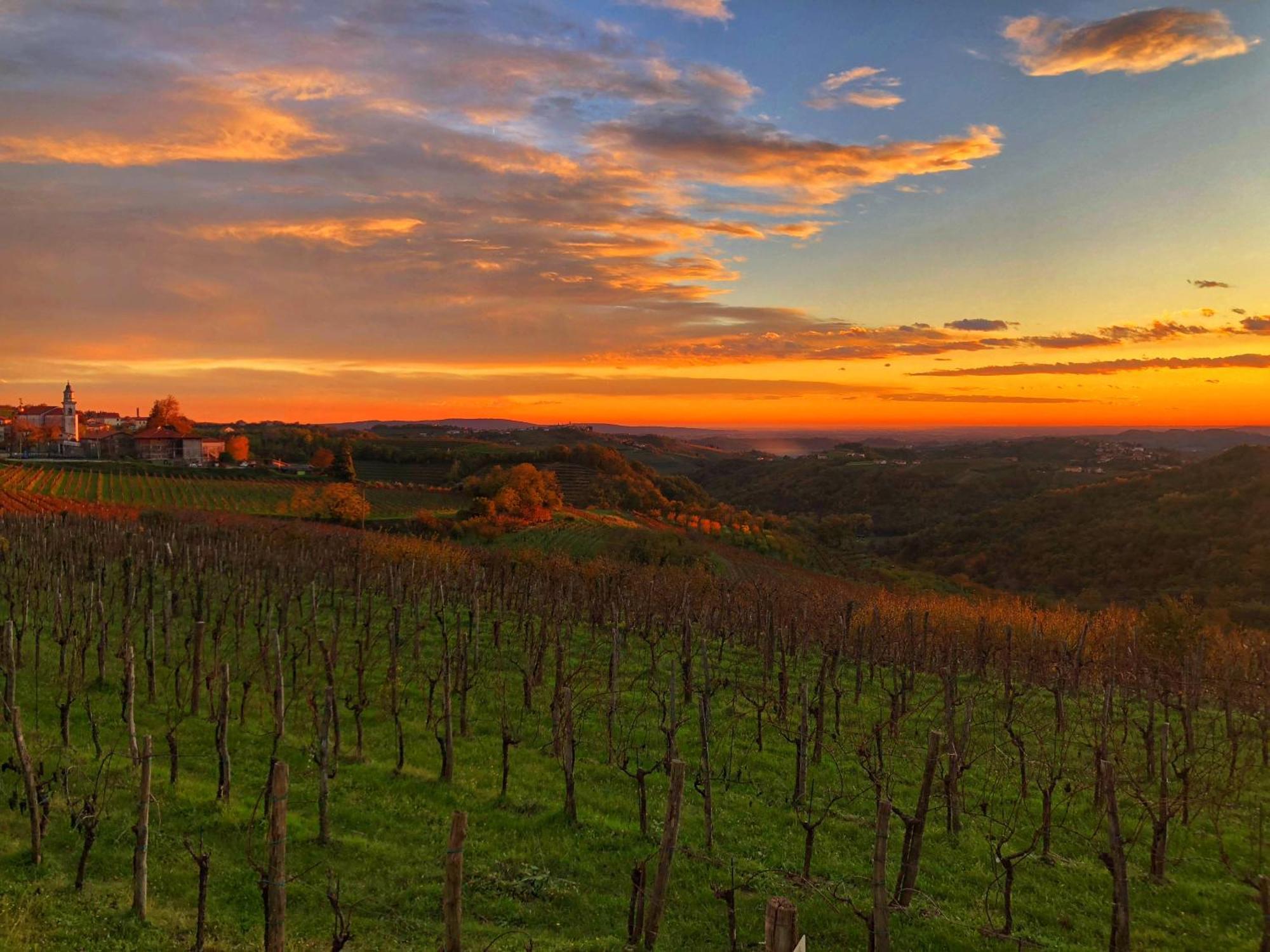 Peterc Vineyard Estate Bed & Breakfast Kojsko Exterior foto